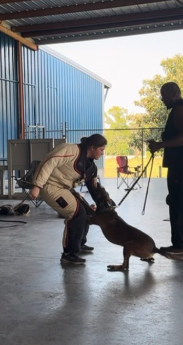 A woman in a dog training suit practicing bite work with a German Shepherd in a training facility. An instructor observes in the background.