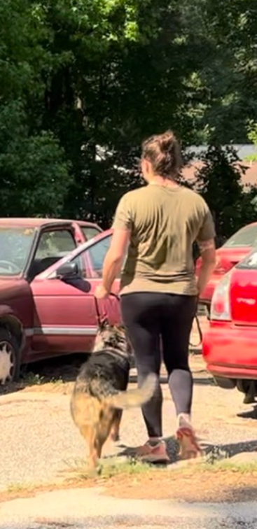 A woman walking a dog in a parking lot with several parked cars and greenery in the background.