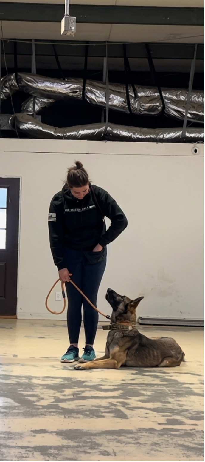 A woman in athletic wear is holding a leash attached to a German Shepherd dog that is lying on the floor inside a room, likely in some training or obedience session.