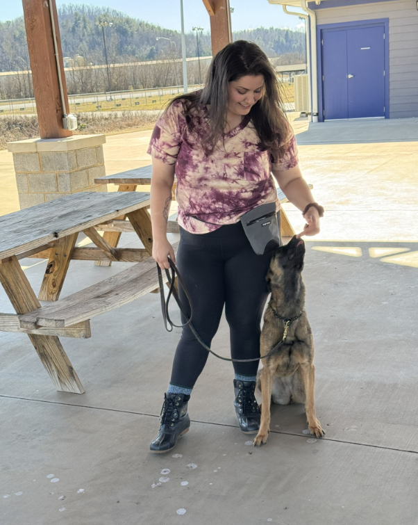 A woman with long dark hair wearing a purple tie-dye shirt, black leggings, and black boots stands outdoors on a concrete surface. She holds a leash attached to a Belgian Malinois dog that is sitting and looking up at her. Behind them is a wooden pic