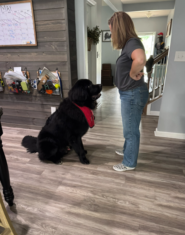 A woman standing in a hallway talking to a large black dog with a red bandana, seated on wooden flooring near a wall with organizational baskets. The background shows a staircase, a door, and some wall decorations.