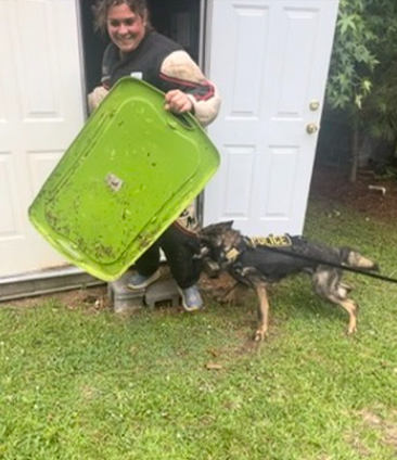 Person holding a large green plastic tray and a stick in front of a door, with a dog nearby.