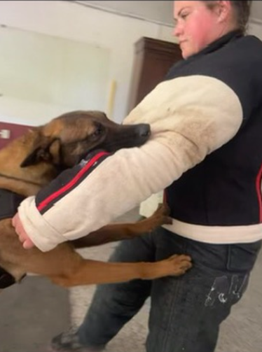 A woman in a black and gray jacket holding a large brown dog in her arms in an indoor setting.
