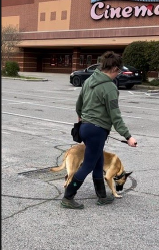 Person walking a large dog in a parking lot outside a movie theater.