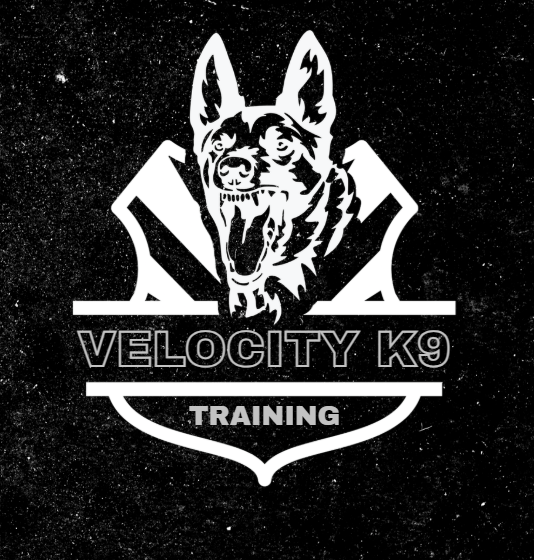 Logo featuring a German Shepherd dog's head above a shield shape with the text 'Velocity K9' and 'Training' underneath.