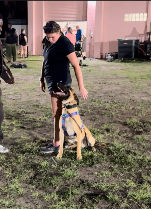 A young woman interacting with a German Shepherd dog wearing a harness outdoors at night. Several other people are in the background, near a pink building and some equipment on the ground.