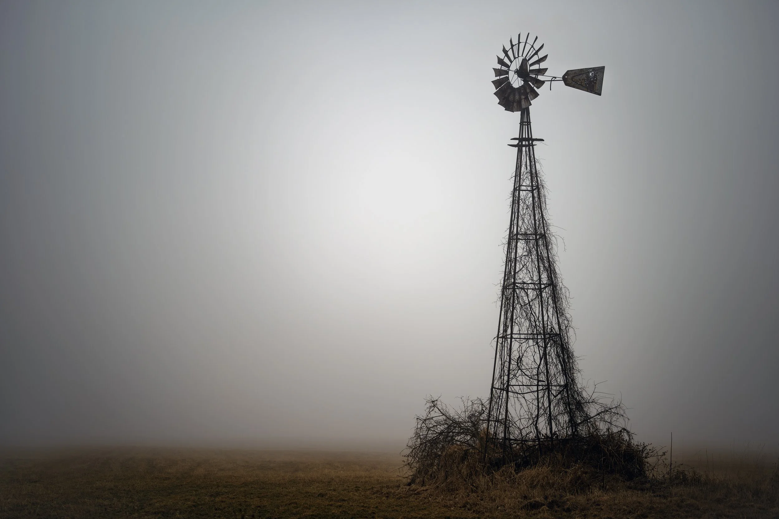 Windmill in dense Michigan fog in March 2026.