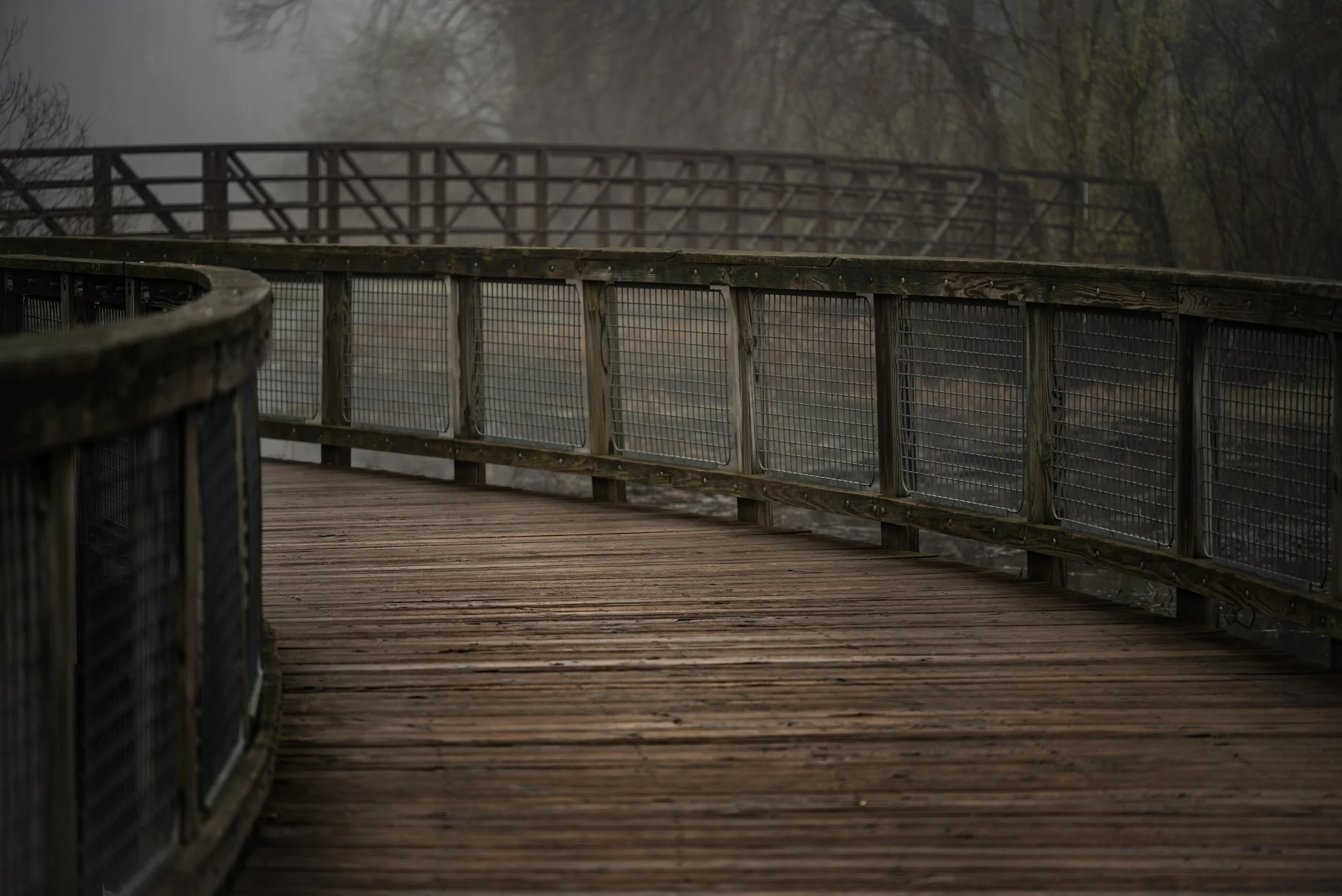Boardwalk in early morning fog at Kensington Metropark in April 2026.