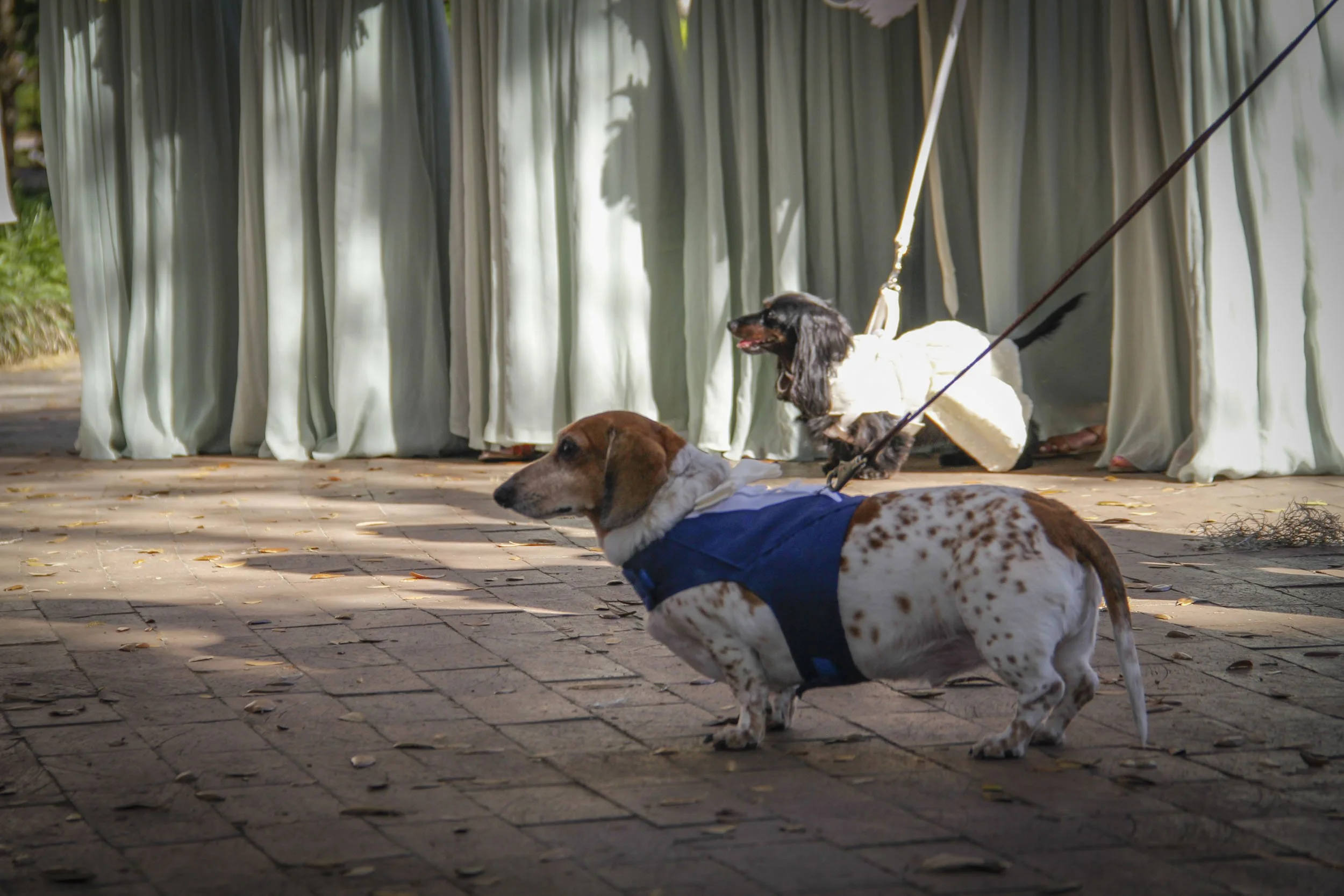 San-Diego-Wedding-Photographer 280.jpg