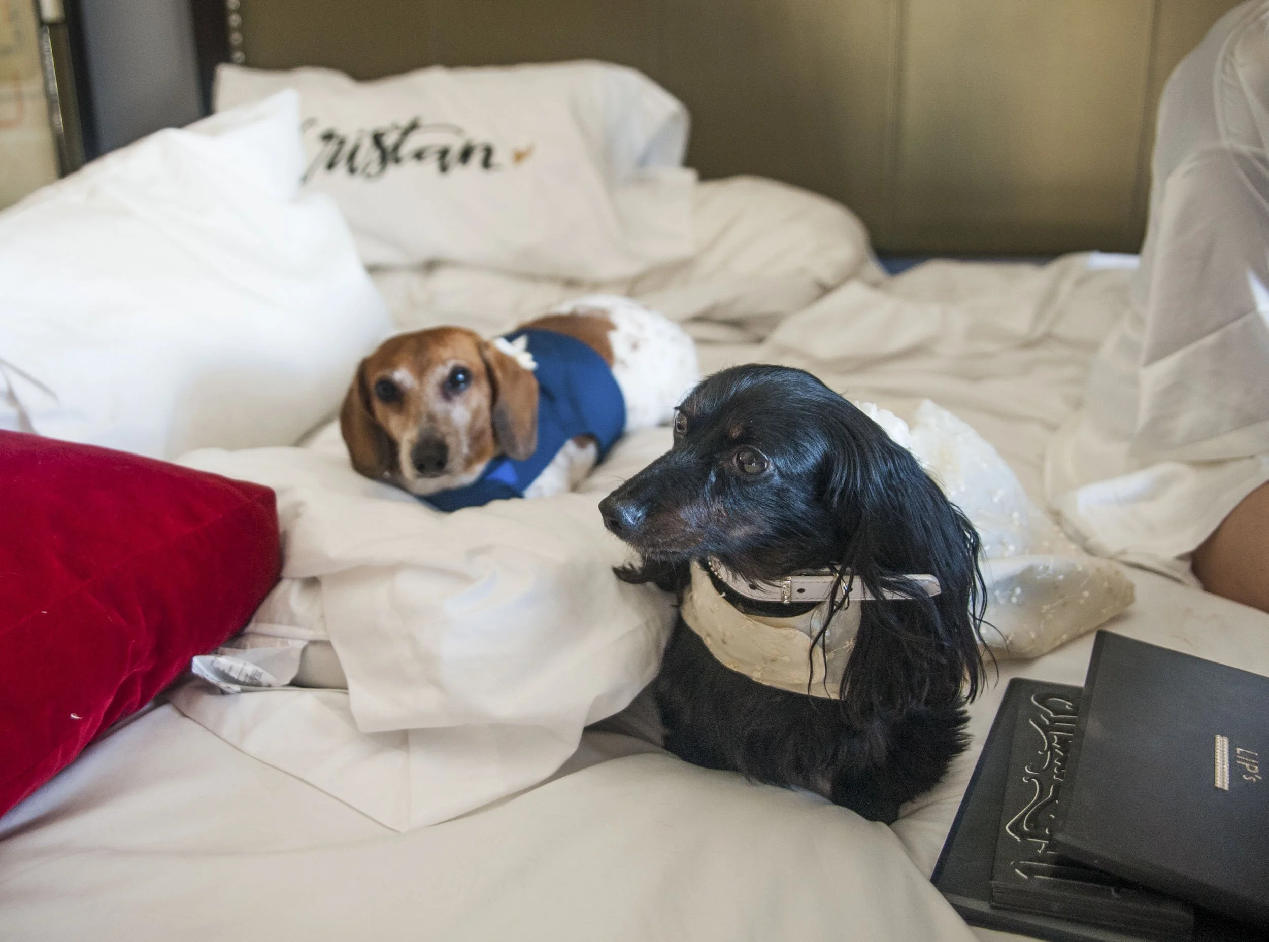 San-Diego-Wedding-Photographer 273.jpg