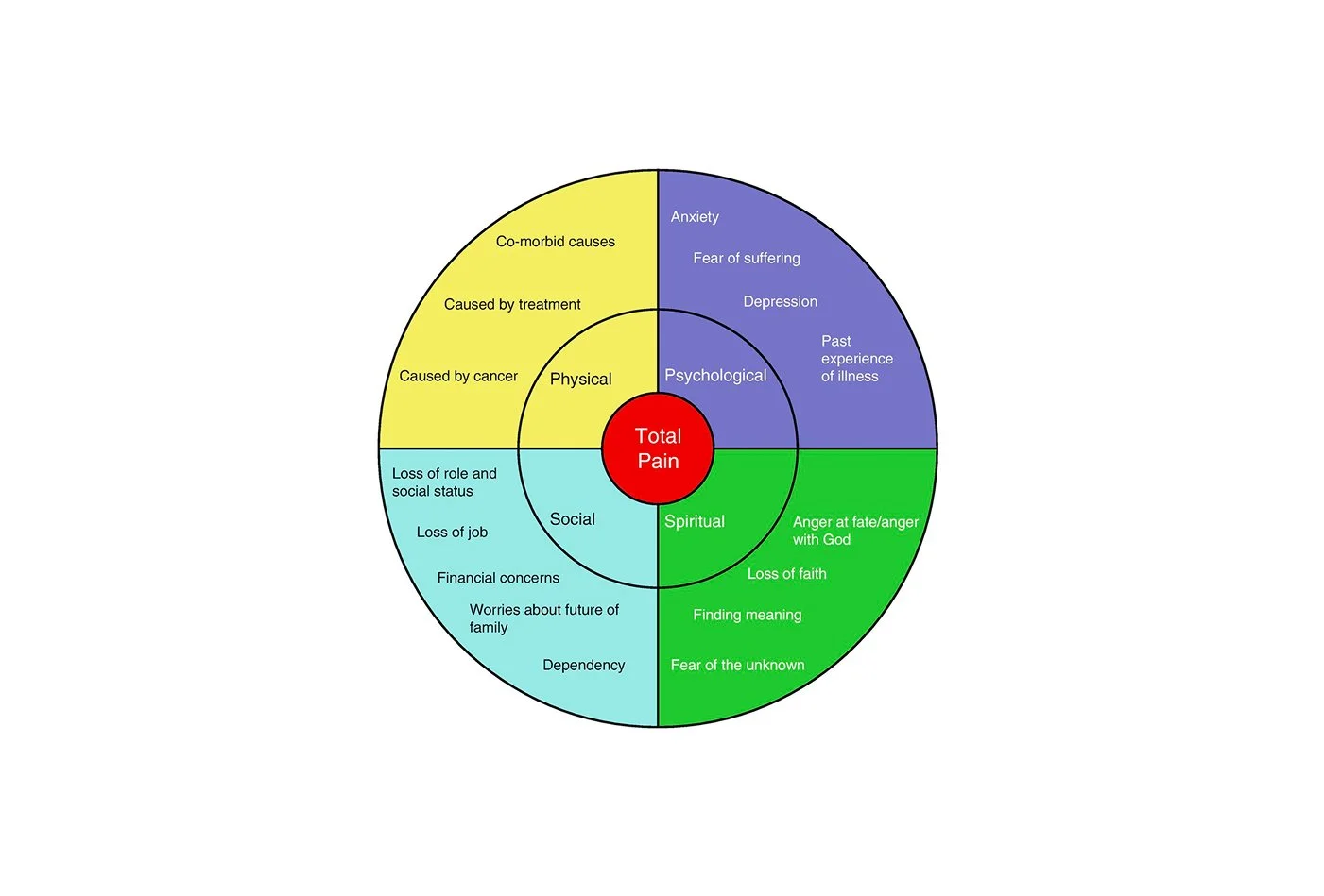 Using Palliative Care Concepts to Improve Self-Management of Your Health Part I: Applying It