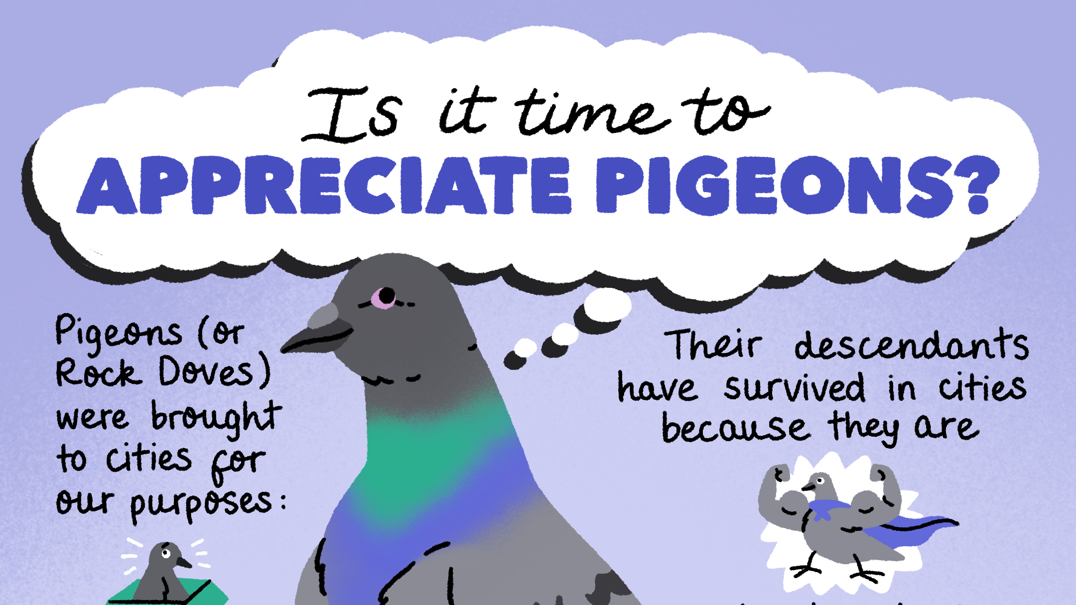 Personal Projects from Nature Resources