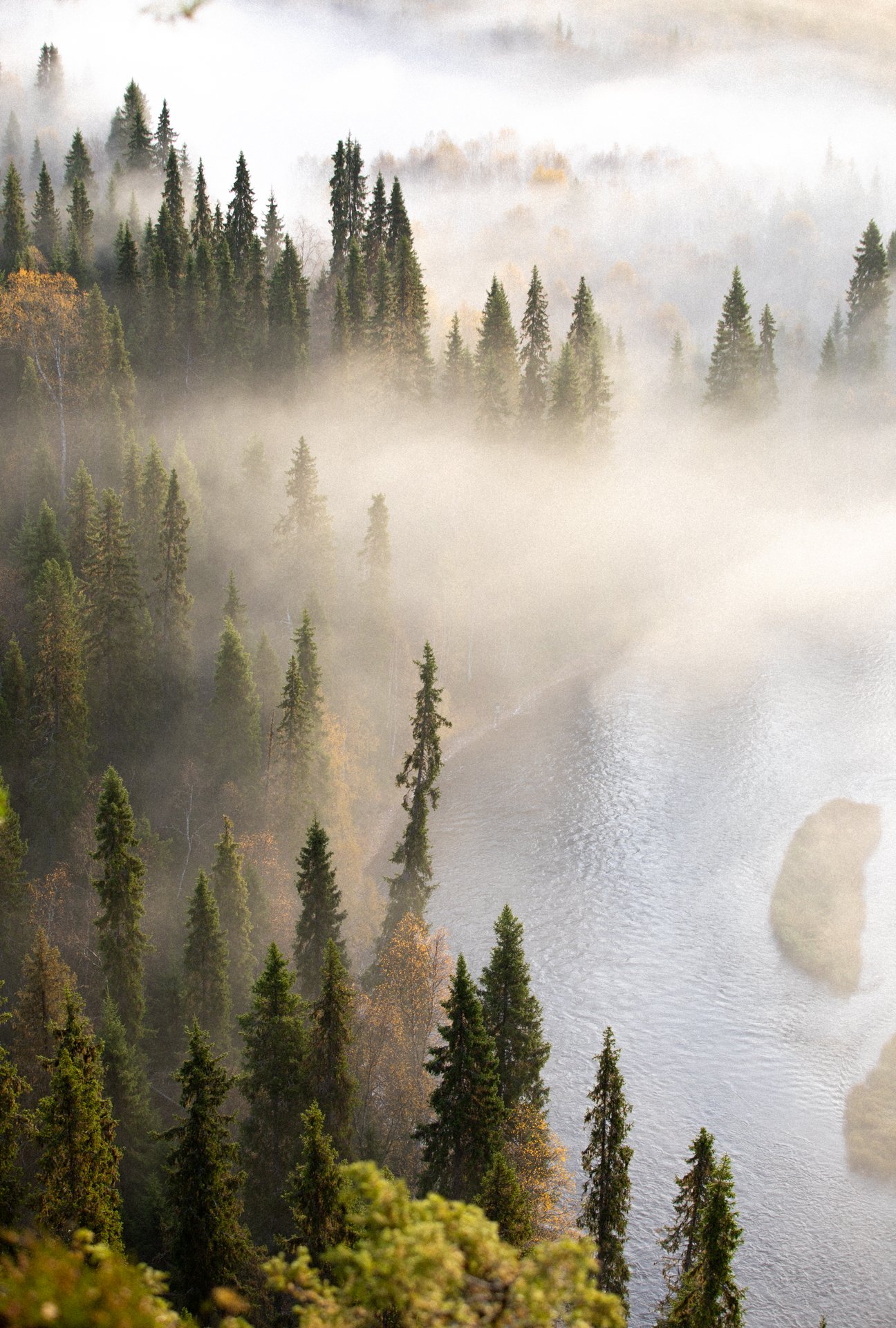 Rauhoittava metsämaisema hyvinvoinnin ja palautumisen tueksi.