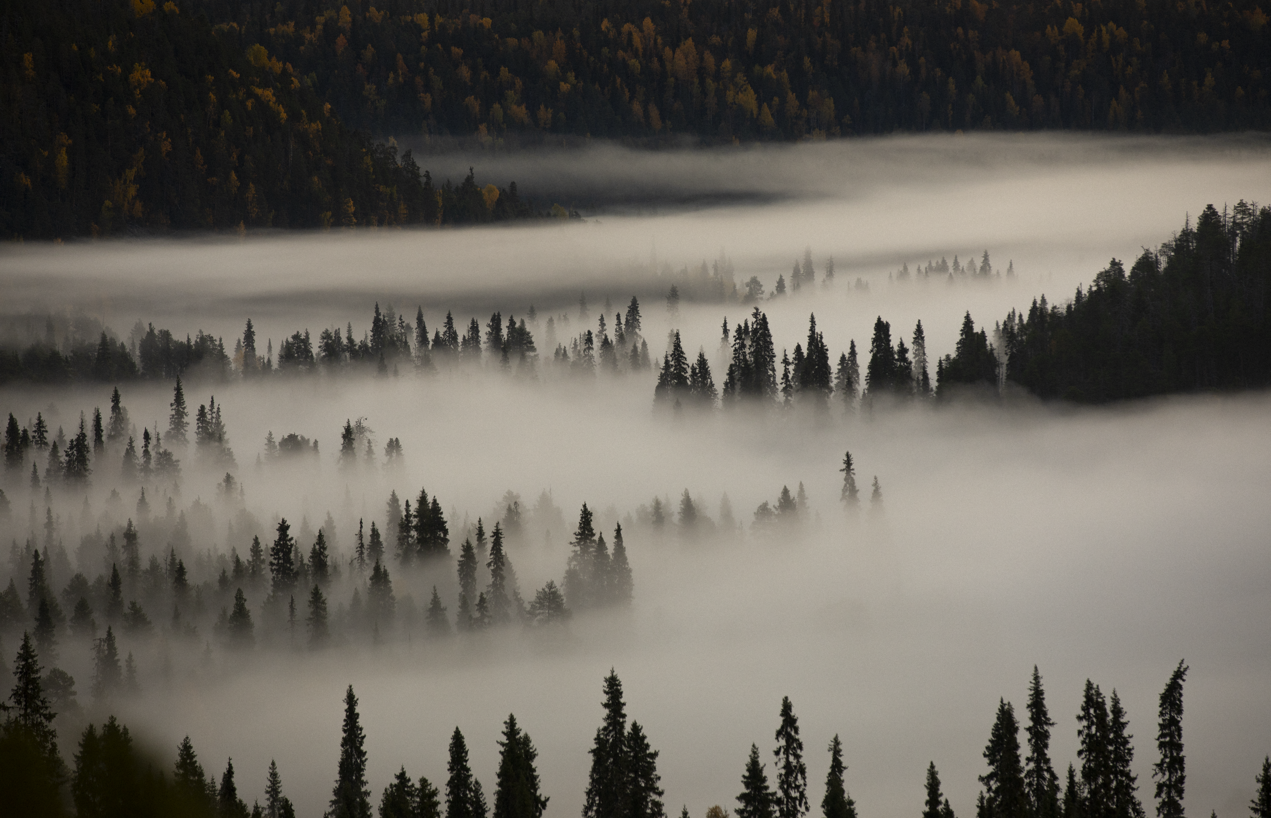 luonnon rauha ja maisema tukemassa hyvinvointia