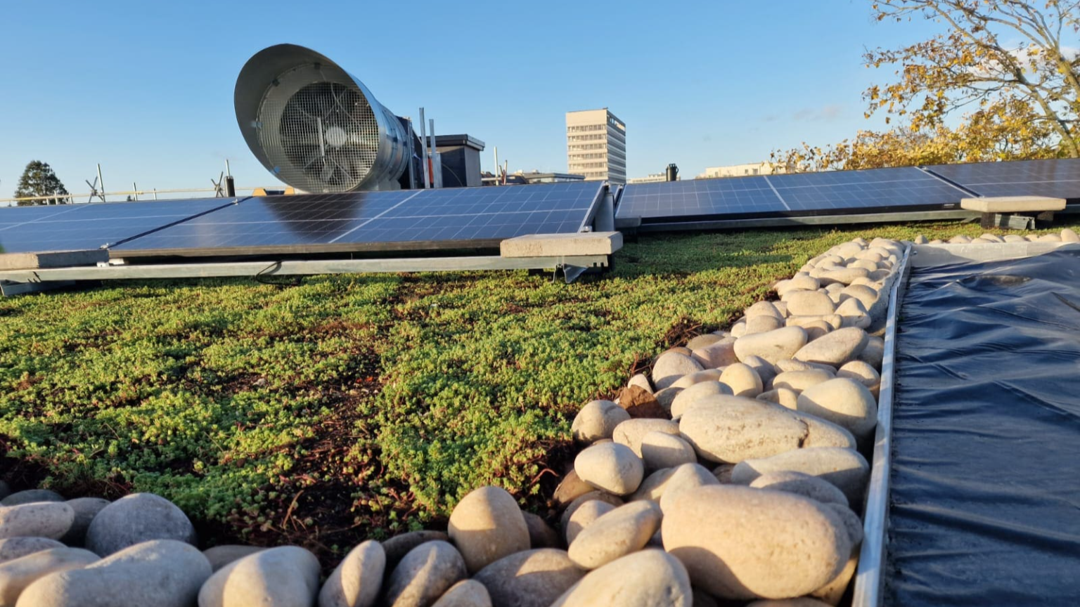 Net Zero Solar Installation Project London