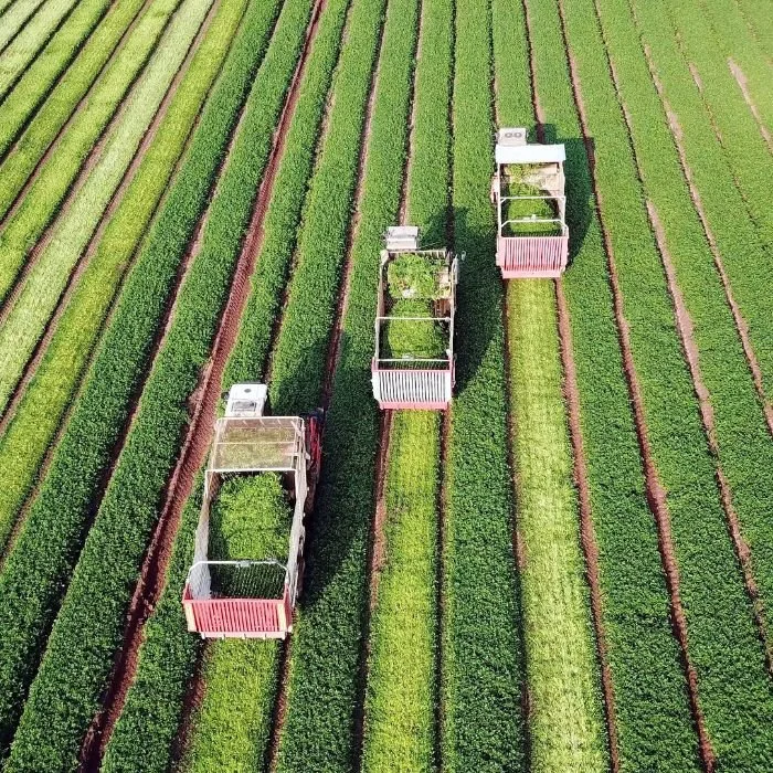 agricultural packaging company