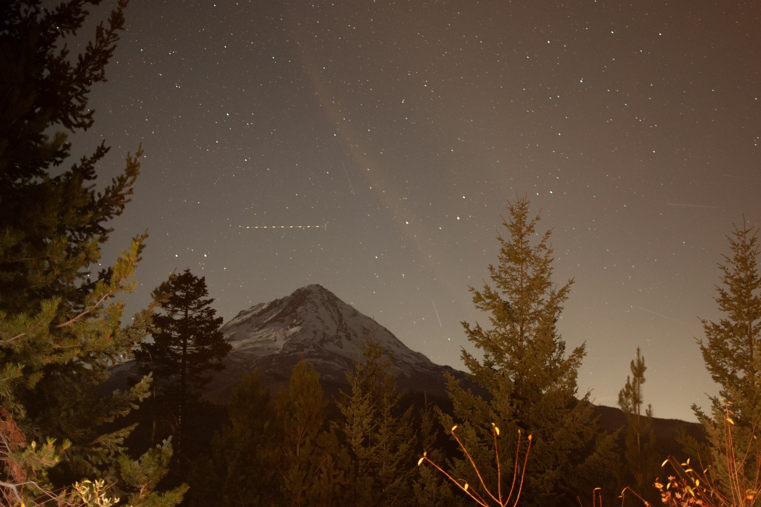 Night sky filled with stars above a snow-capped mountain and trees in the foreground.
