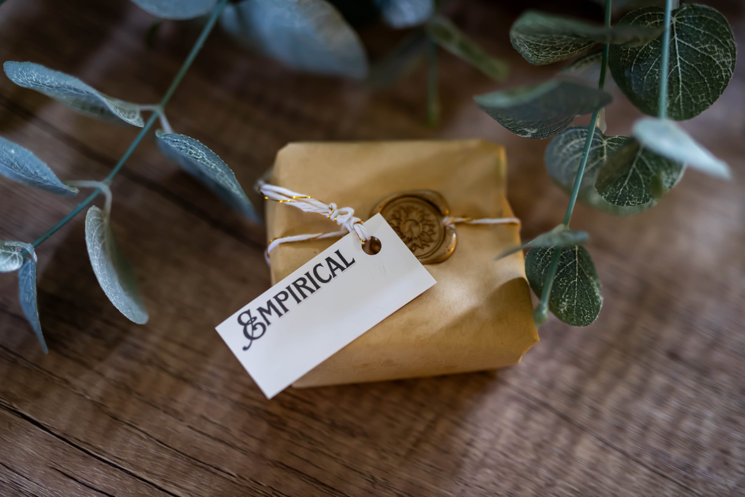 Coconut Milk Powder Shampoo Bar