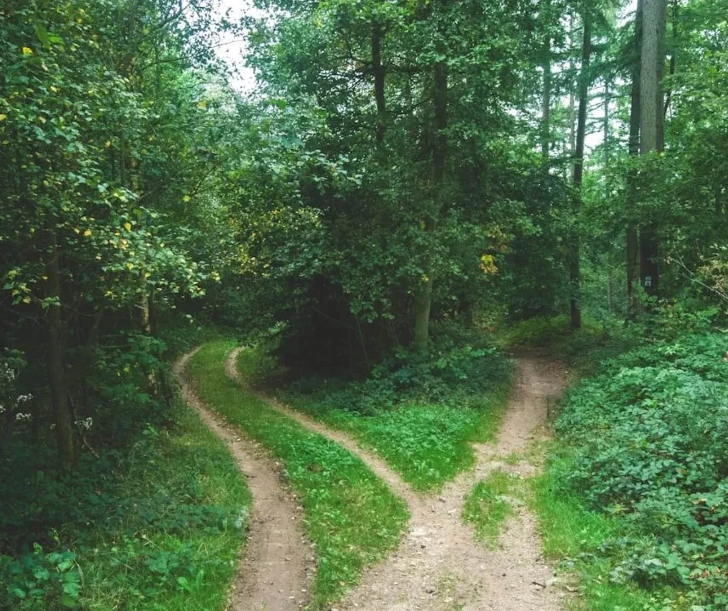 Accompagnement psychologique lors d’une séparation