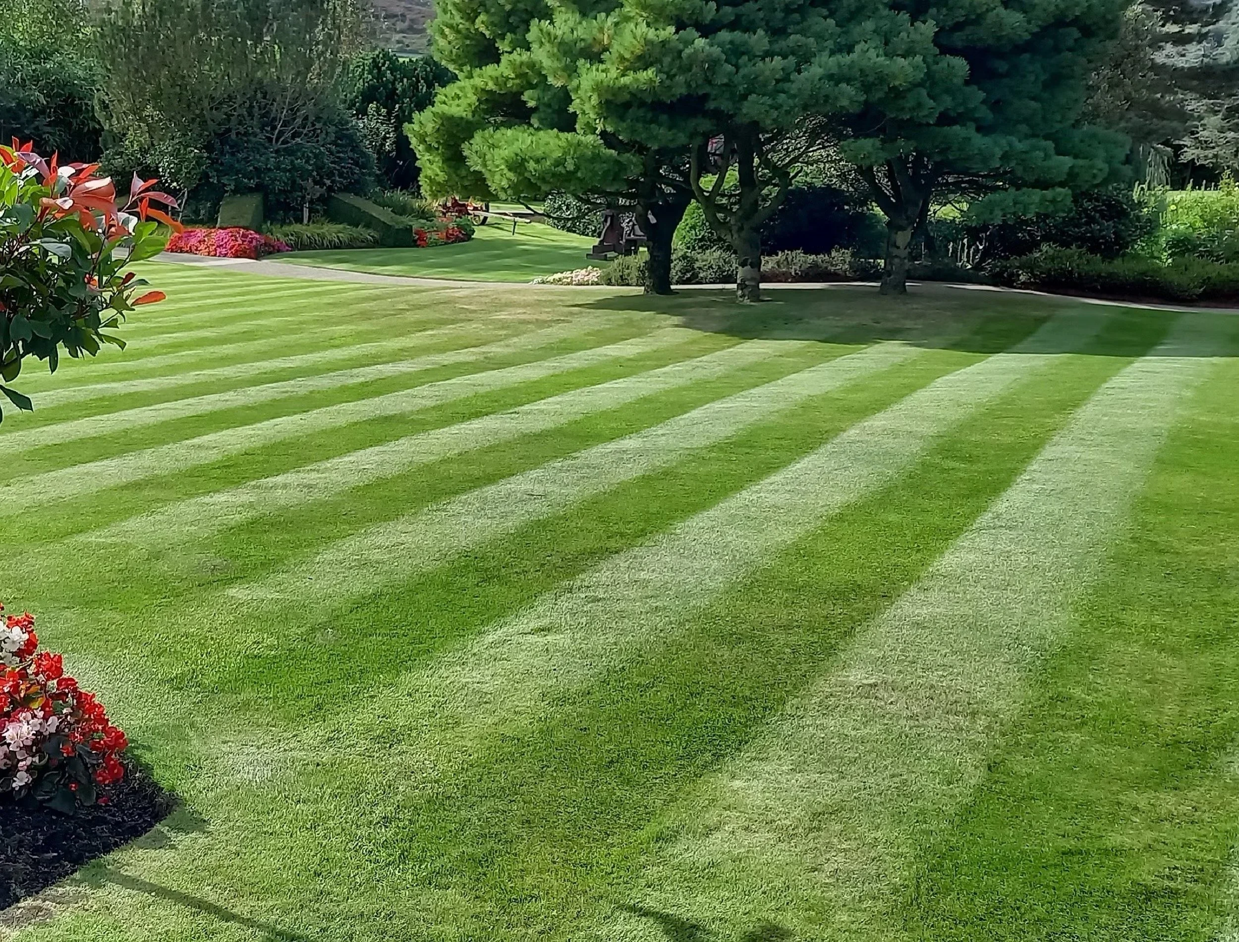 Standard Lawn Service