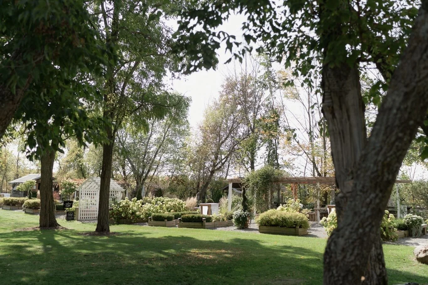 Let&rsquo;s step back in time 🤍

Pondview was born in 1996 when home owners Mike &amp; Linda bought the property. A small Pond greeted you as you drove up the long driveway along with overgrown lawn, weeds, trees, out-buildings you name it.. it need