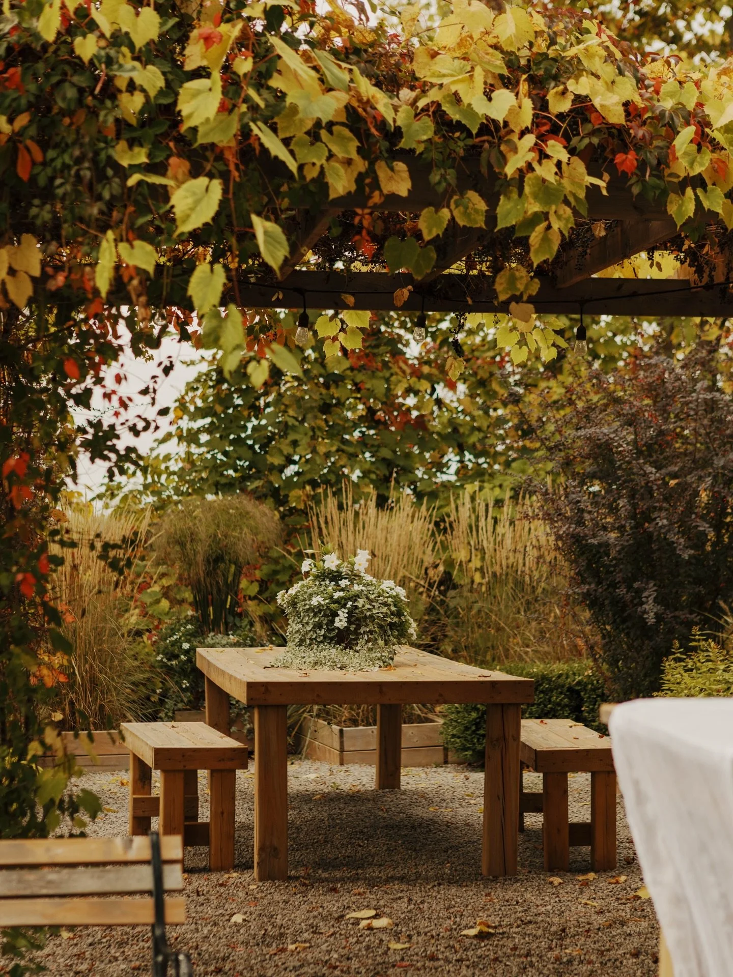 Pondview in September&hellip; 🫶🏼

The glow, the turning of the leaves, the warm breeze.. September weddings just hit different!

We could share every single photo of M + T&rsquo;s big day it was just that beautiful! Here are a few of our favourites