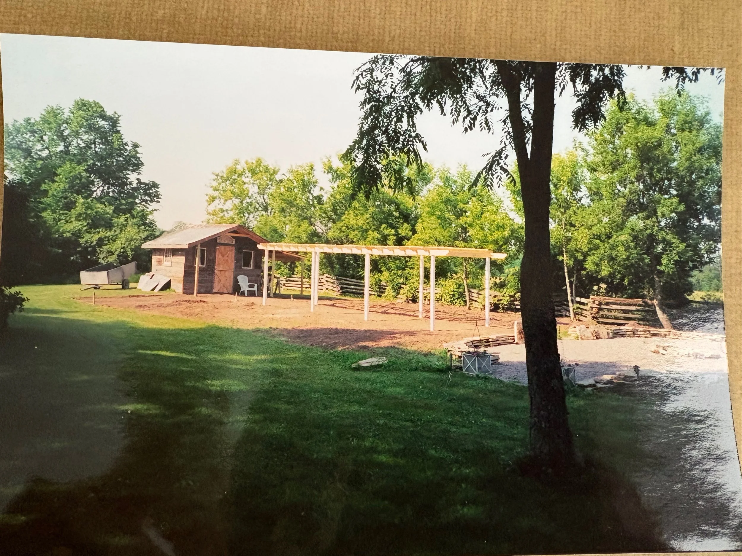 A rural backyard with a wooden shed, a swing set frame, a boat, and a grassy area surrounded by green trees. The scene is sunny with clear skies.