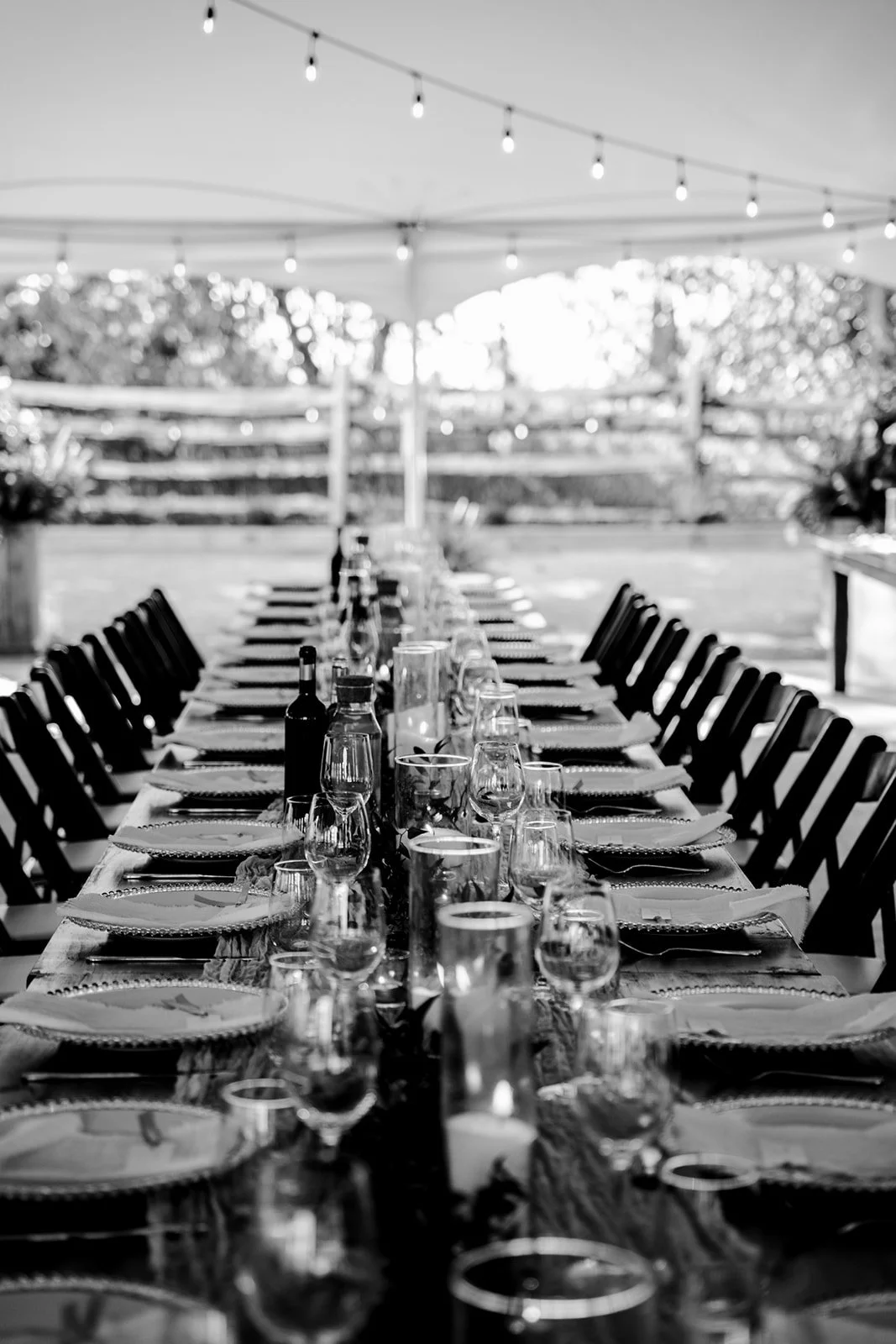 A long outdoor banquet table set with plates, glasses, and bottles under a string of lights, with a wooden fence and trees in the background.