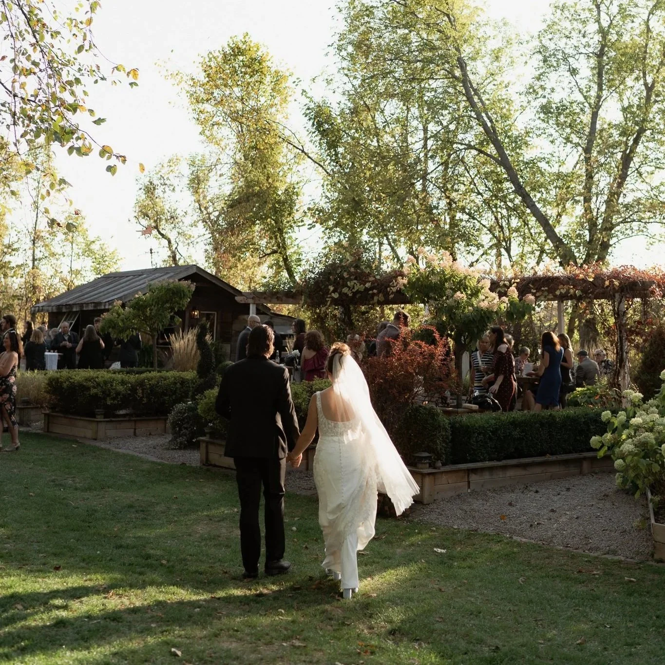 A bride and groom walking hand-in-hand outdoors during a wedding celebration, with guests gathered around in the background and trees with green leaves.