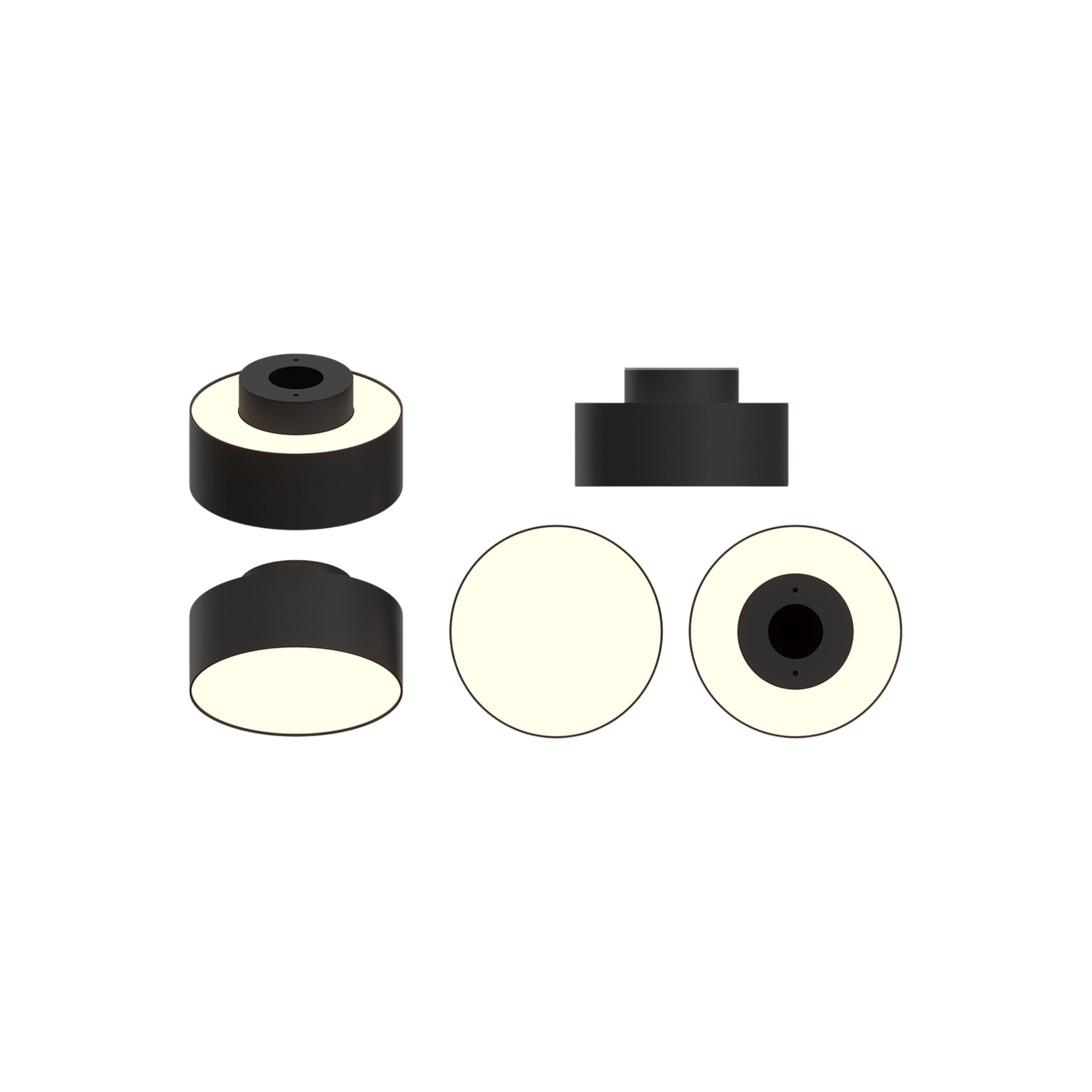MUSH TRE (2).png