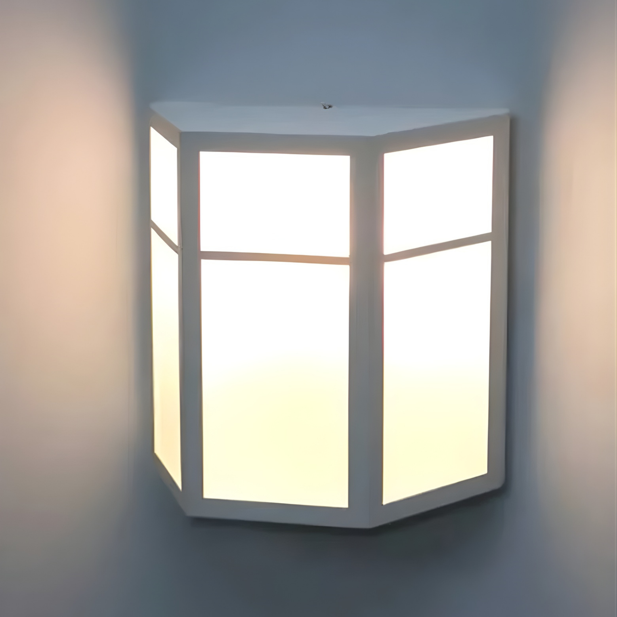 VENTANA (2).png