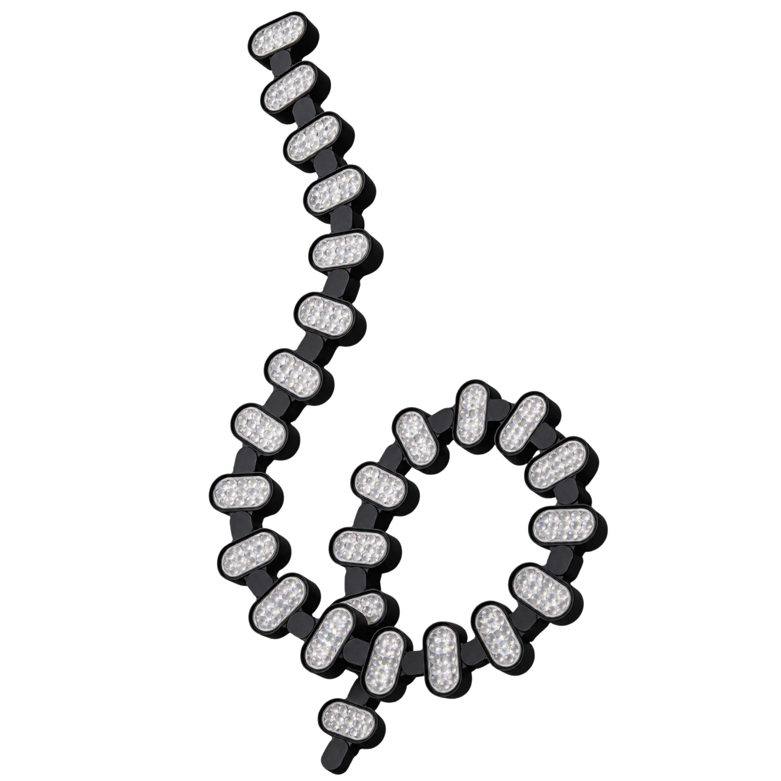 Centopéia BEAM (5).png