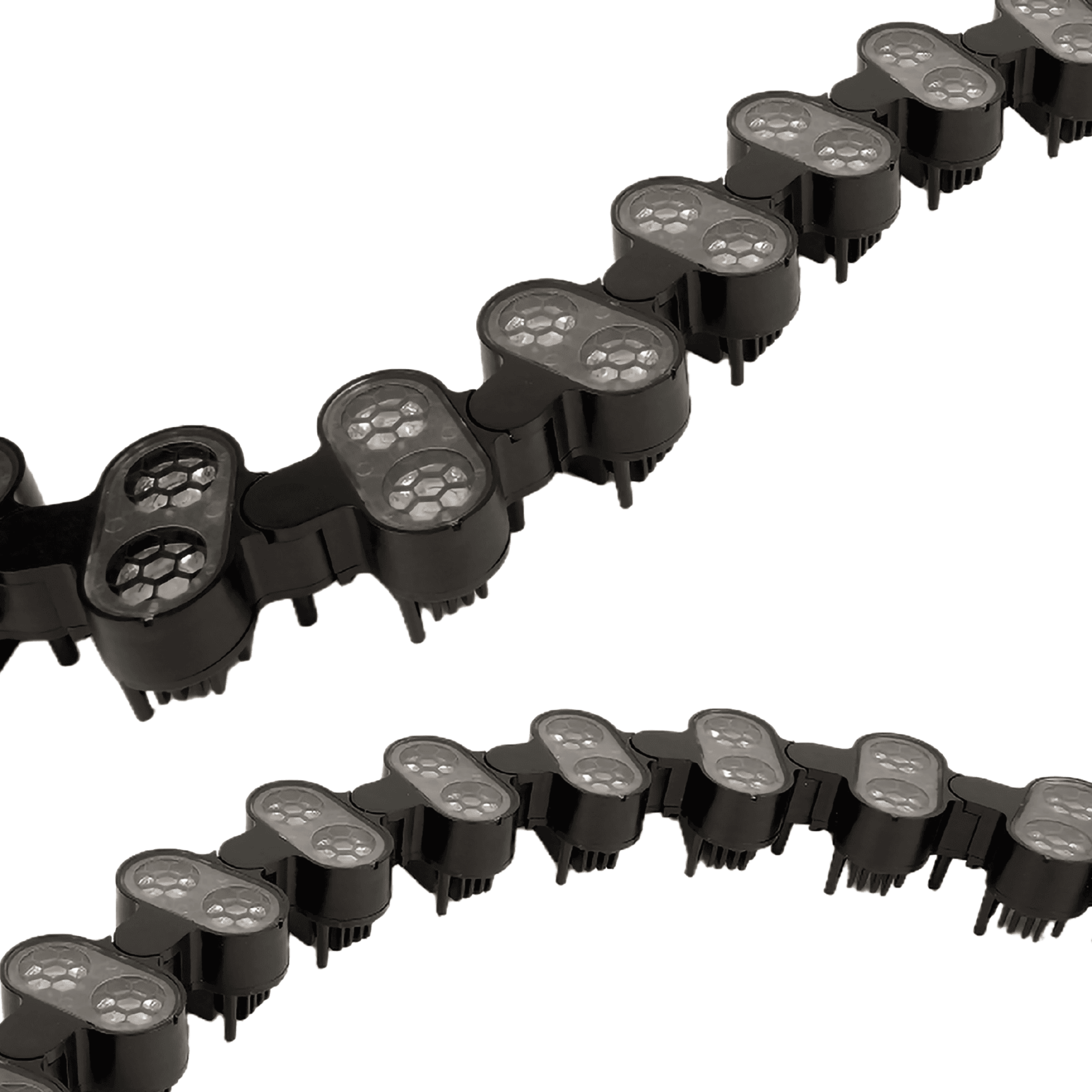 Centopéia BEAM (3).png