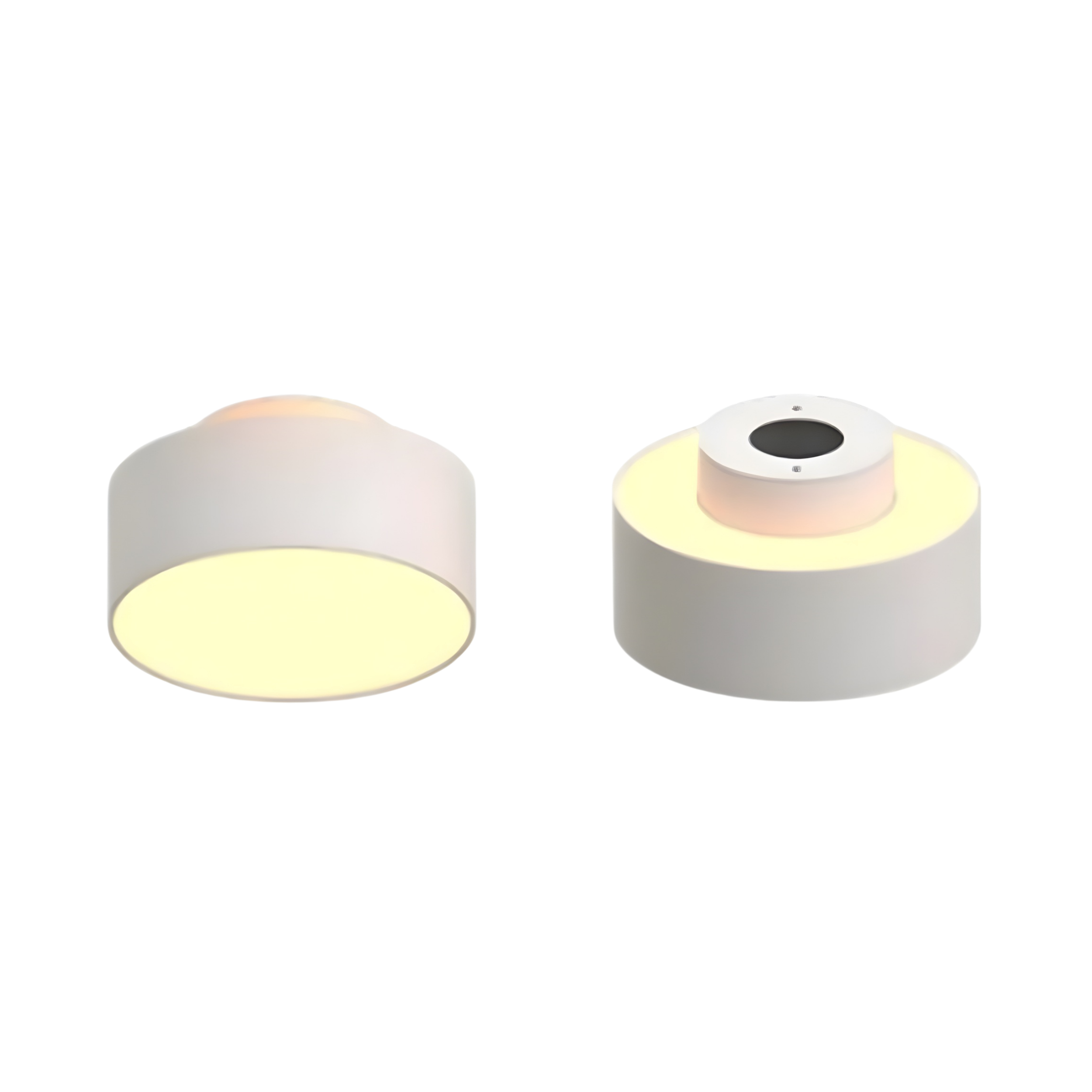 MUSH TRE (3).png