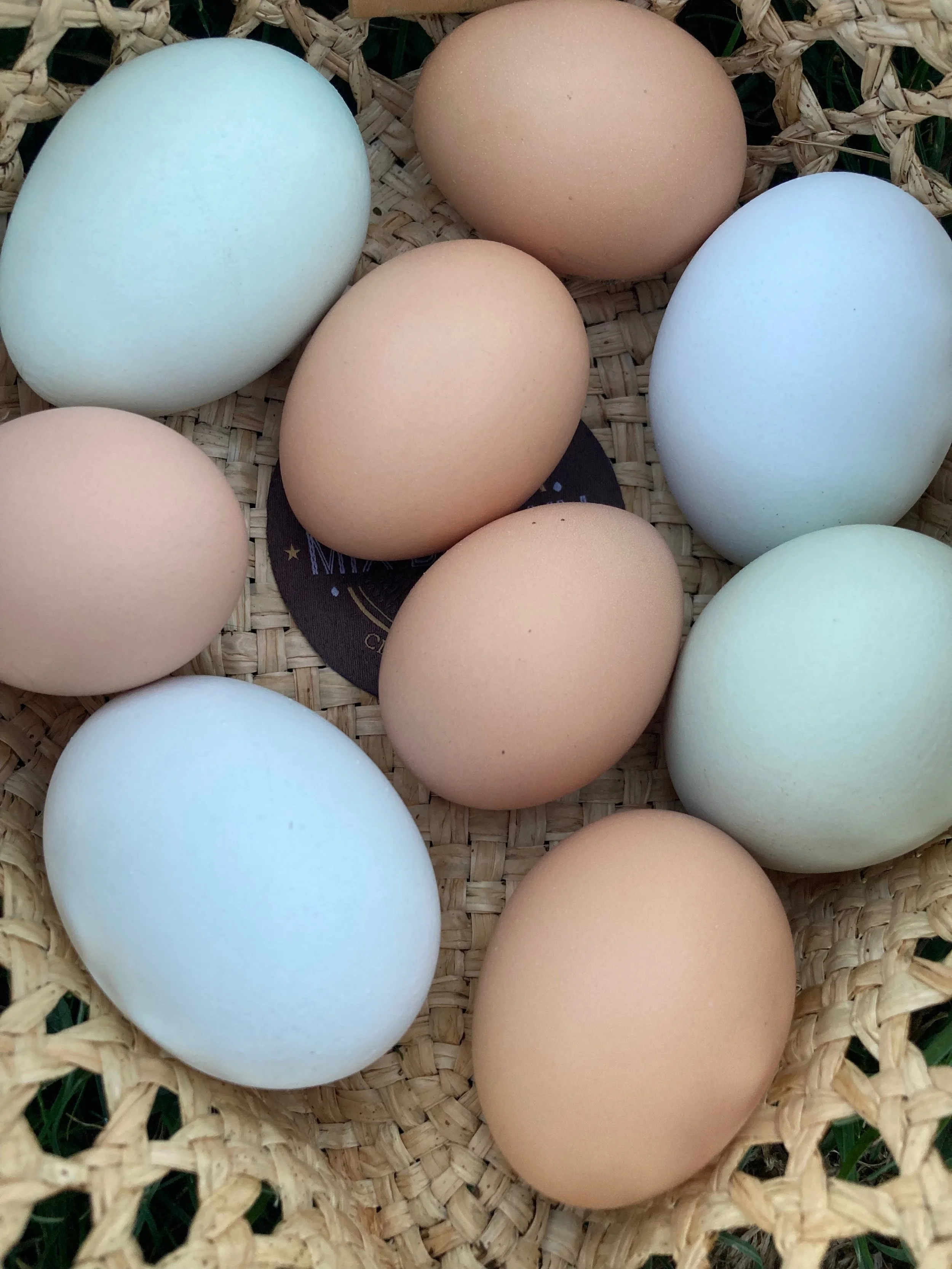 Half Dozen Farm Fresh Eggs