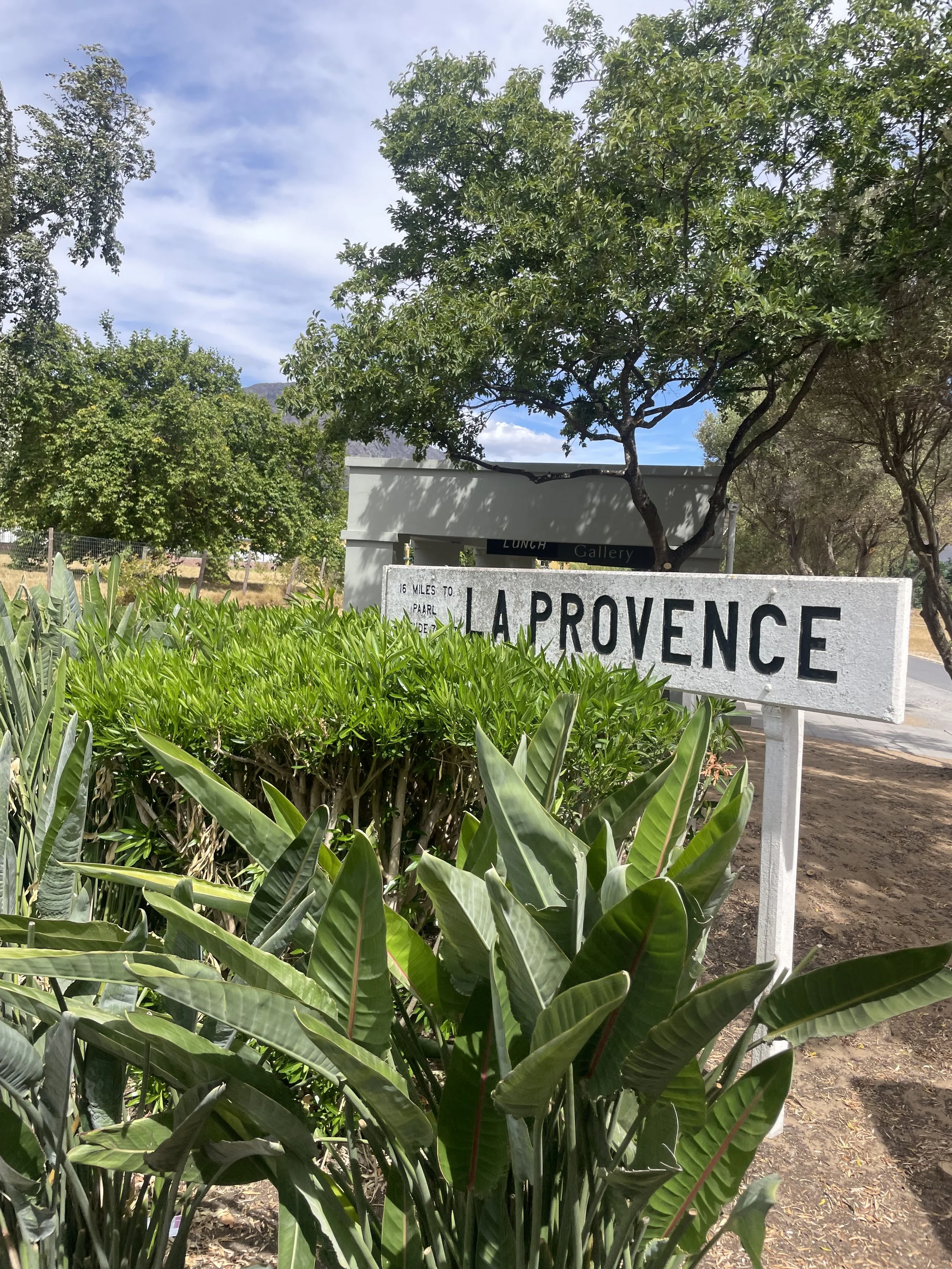 The Ultimate 14-Day Cape Town Foodie Guide: Eat Your Way Through the Mother City