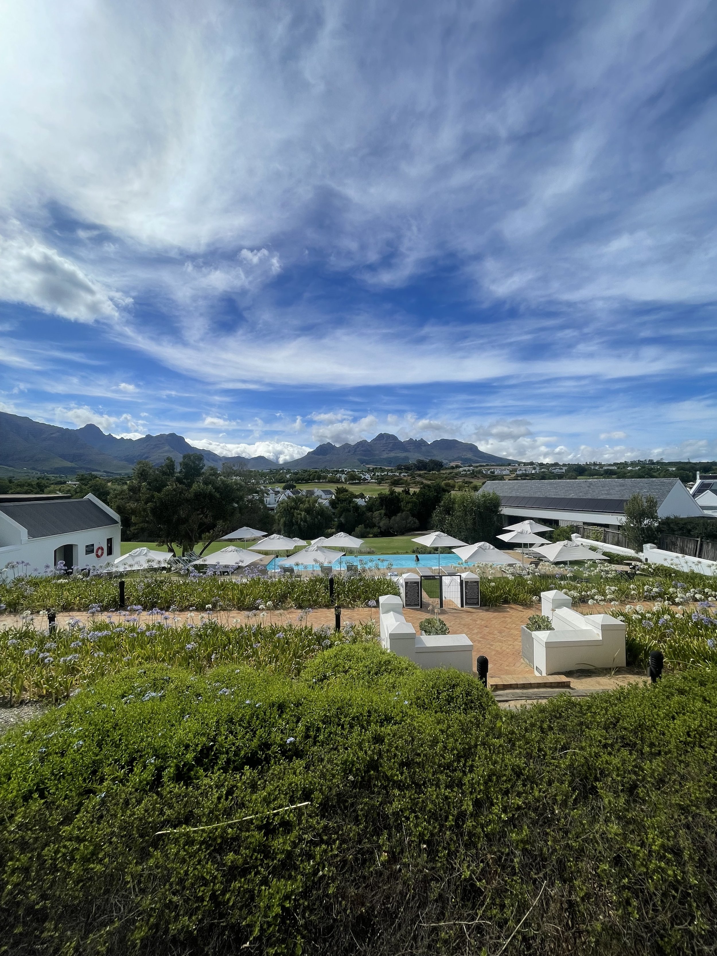 7 Days in Cape Town for Food Lovers: The Ultimate Curated Foodie Itinerary