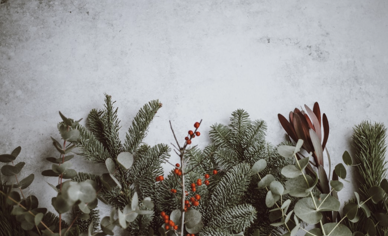 Seasonal Transitioning