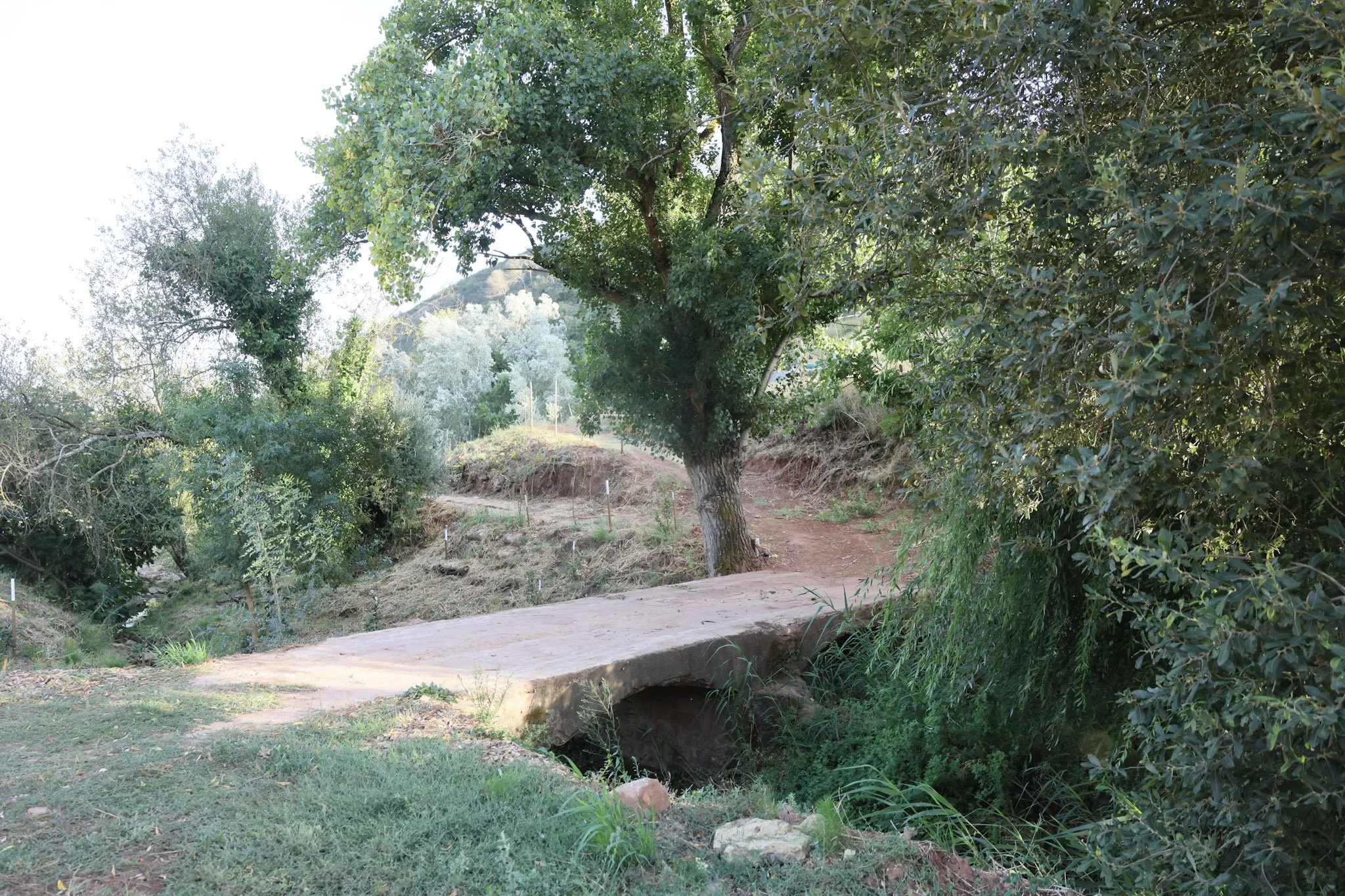 A small footbridge crossing over a narrow stream in a grassy, hilly landscape with trees and shrubs nearby.