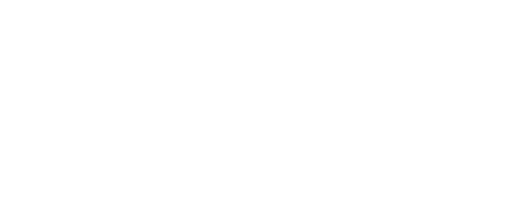 Logotipo de DropShot en blanco y negro.
