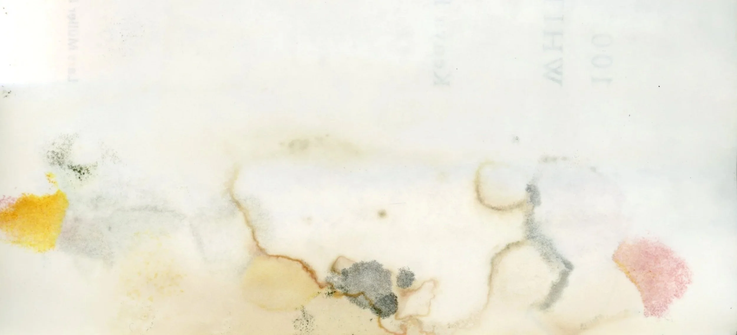 painting is discovering what’s in front of you…