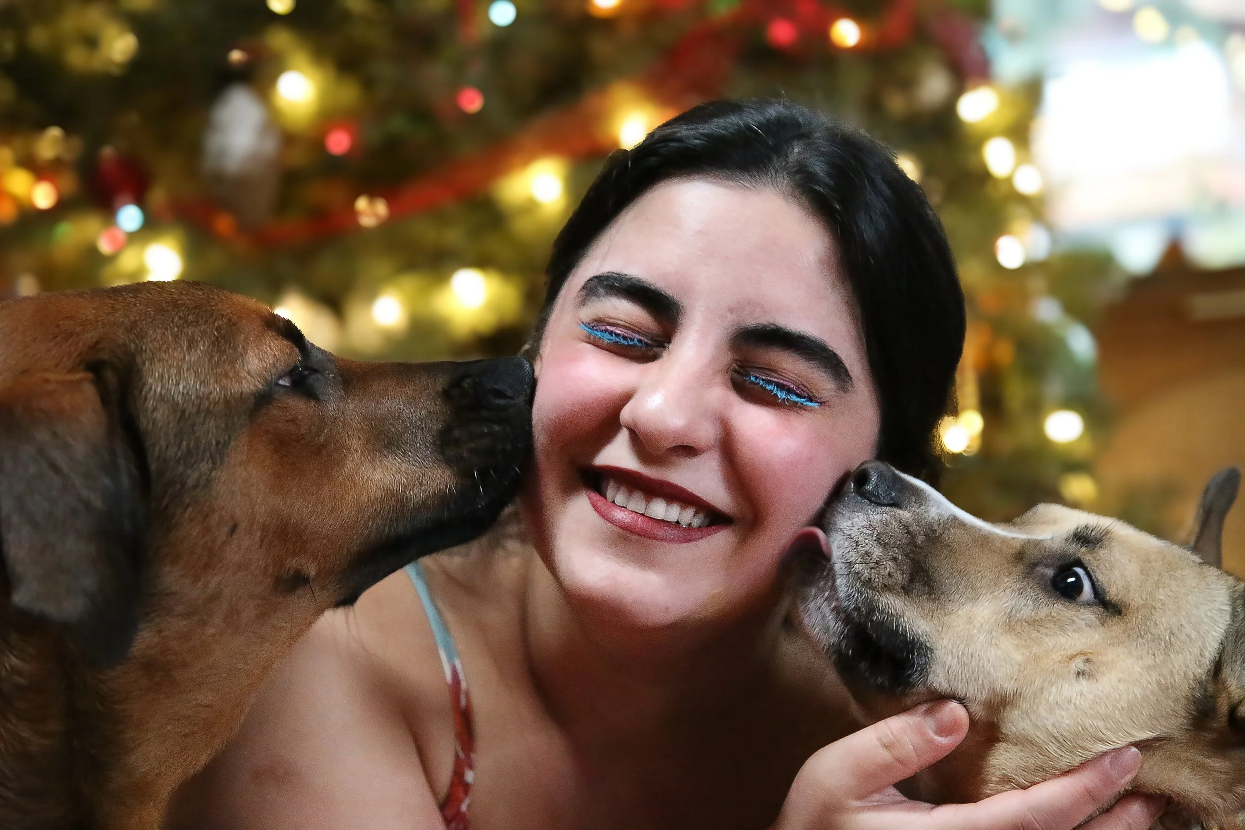 Person smiling with two dogs near a Christmas tree.