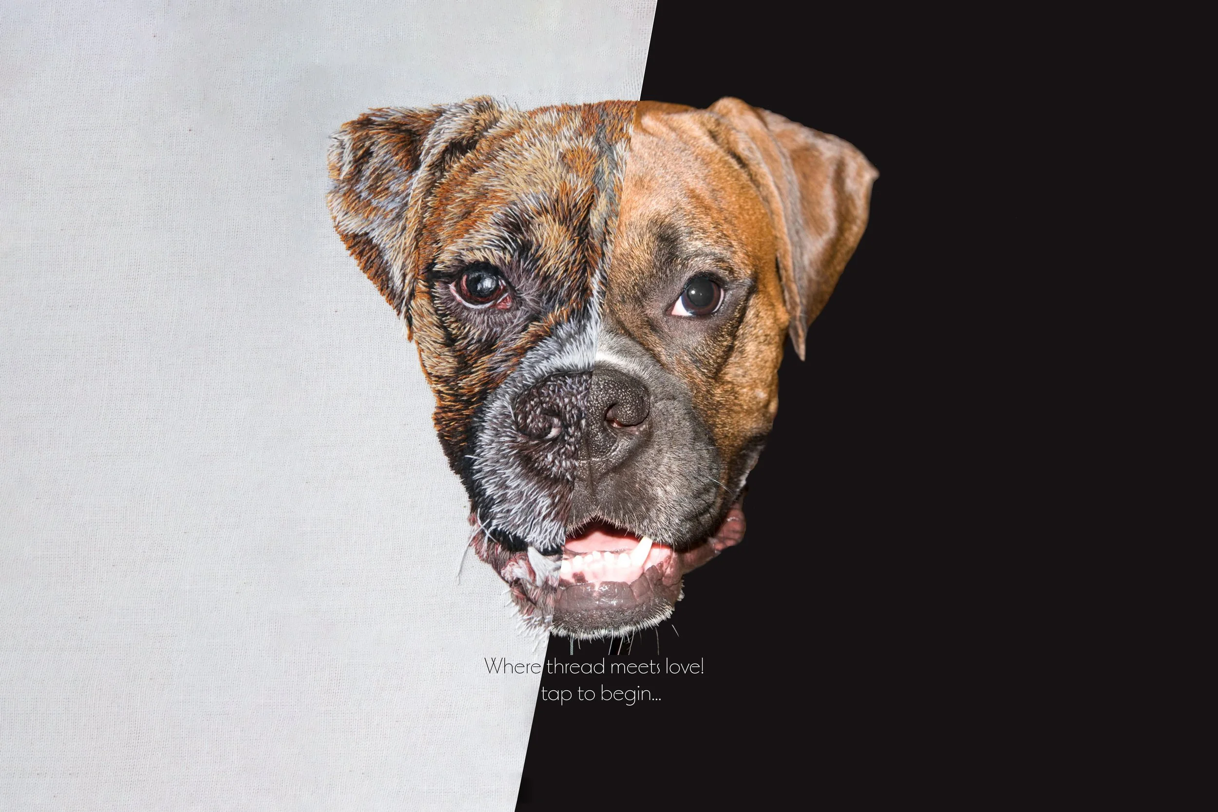 A split background with a white textured fabric on the left and solid black on the right, featuring a dog's face with one side showing a brindle coat and the other side a solid brown coat. Text reads: "Where thread meets love! tap to begin..." in sma
