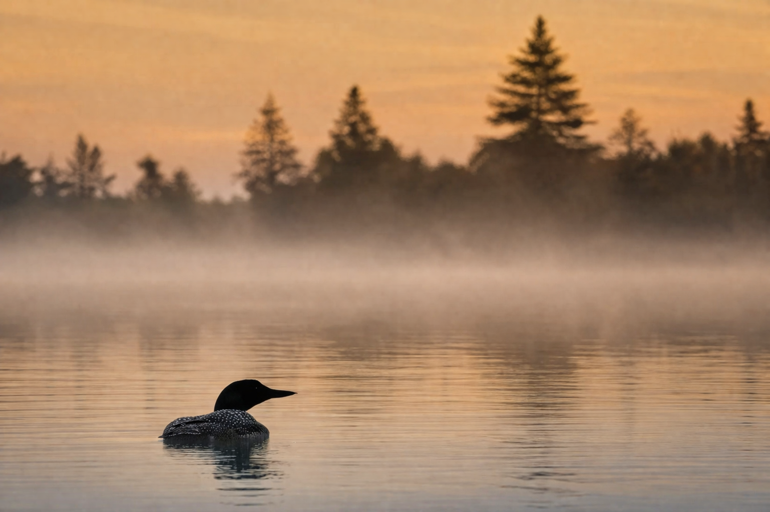 ChatGPT Image Apr 6, 2026, 11_16_31 AM.png