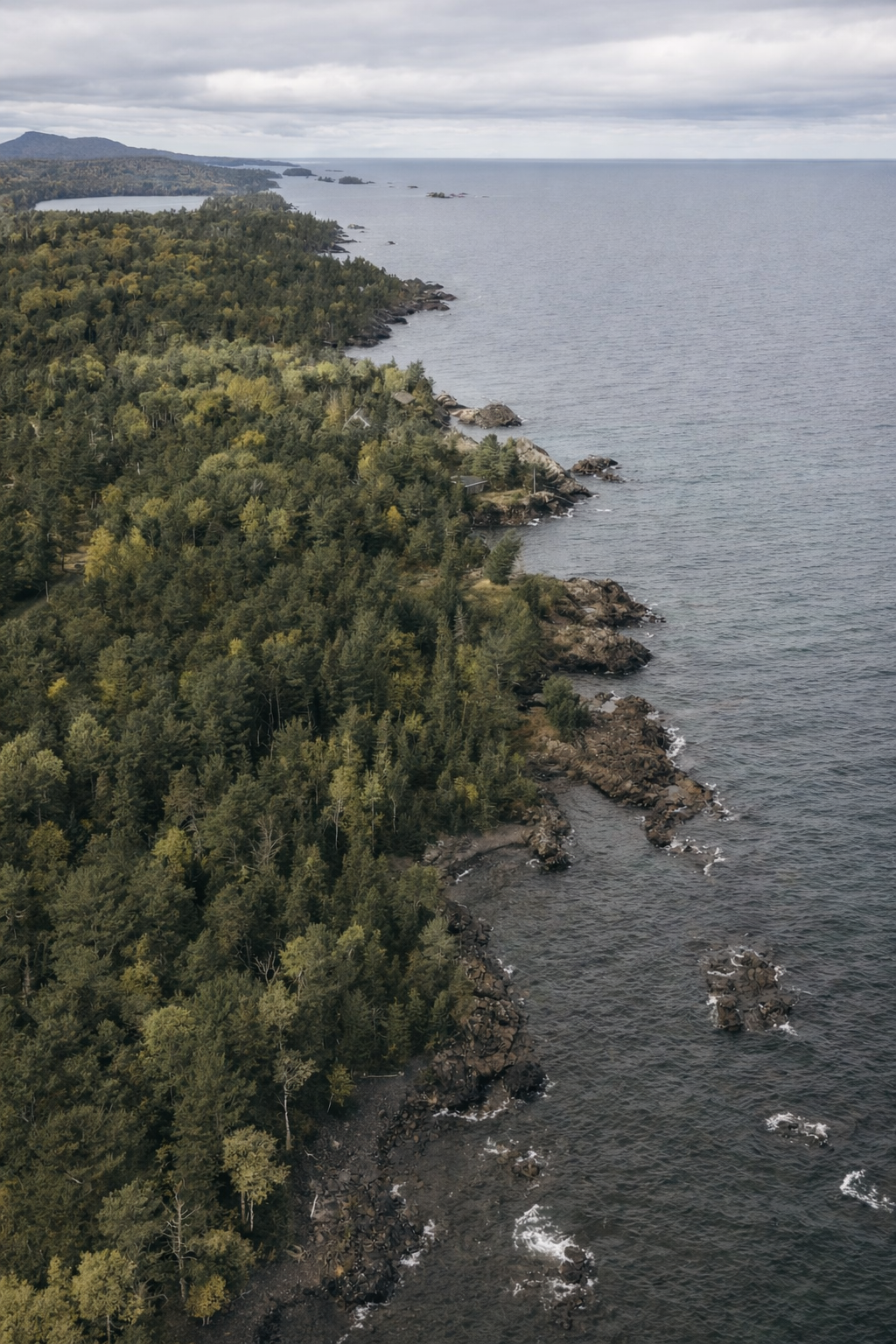 ChatGPT Image Feb 27, 2026, 02_56_09 PM.png