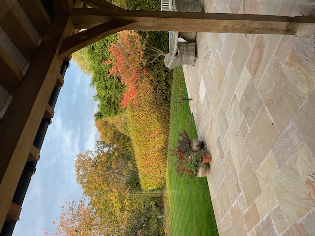 Garden from kitchen.png