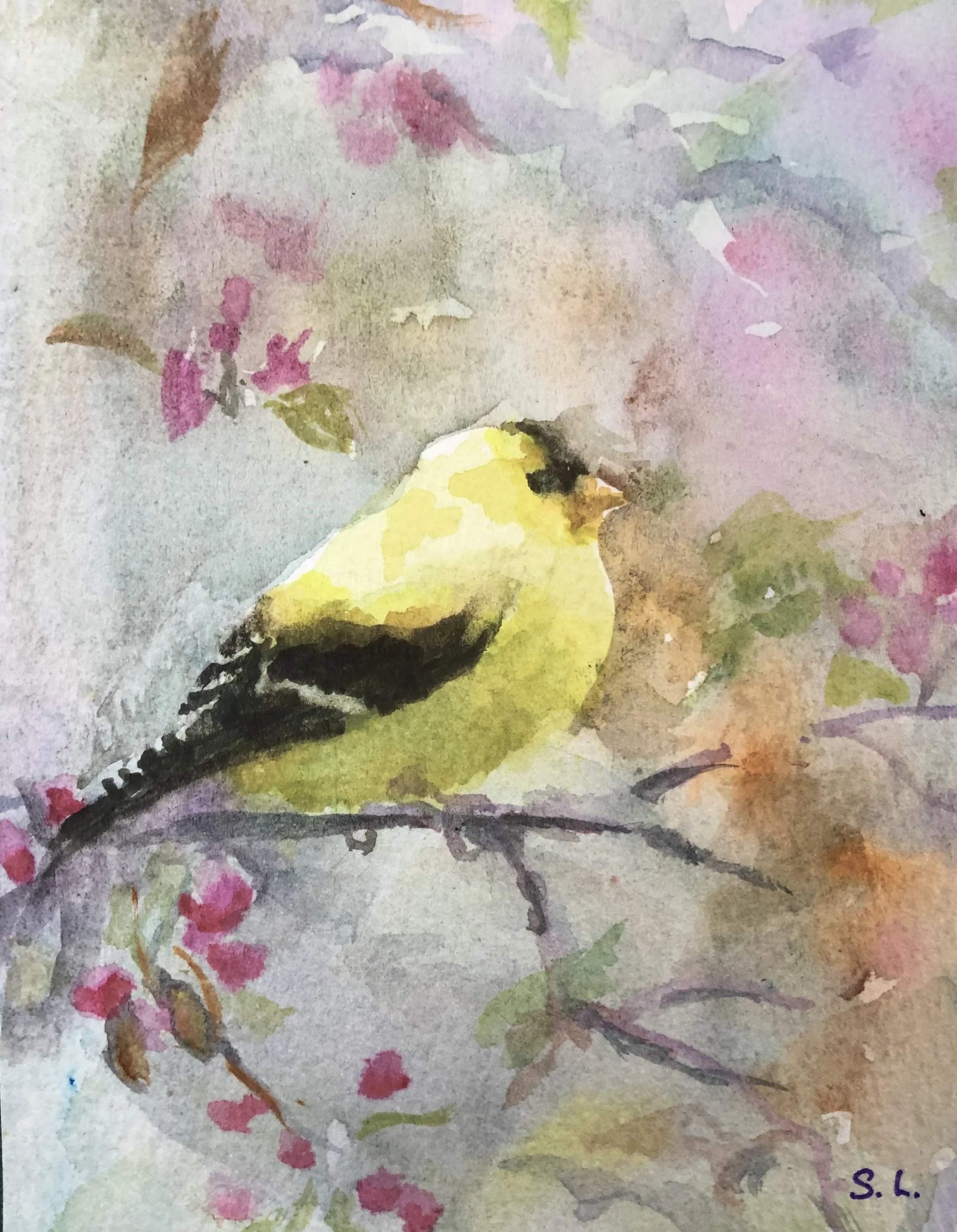 Watercolor painting of a yellow bird with black markings perched on a branch with pink flowers.