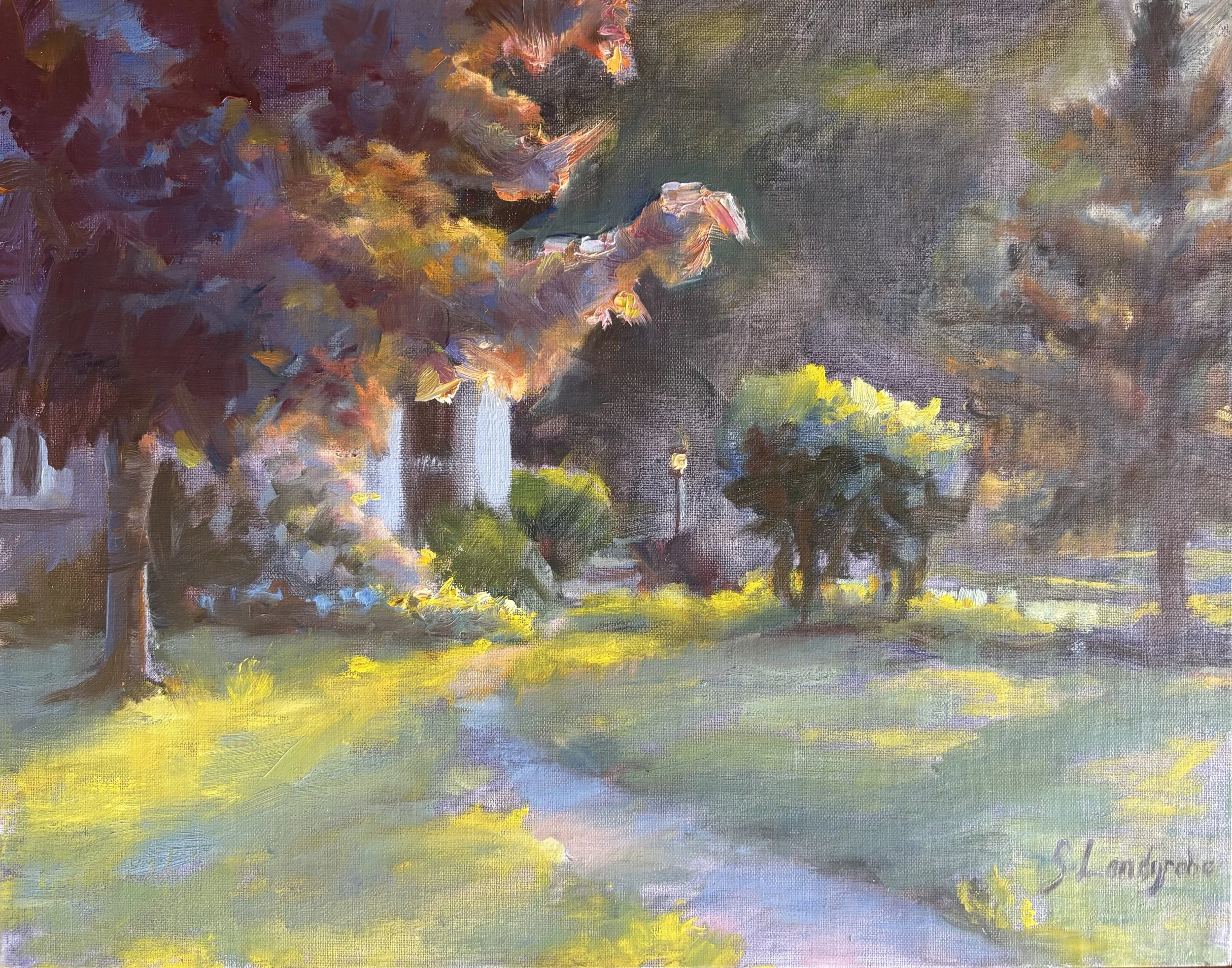 Evening Light in the Maple