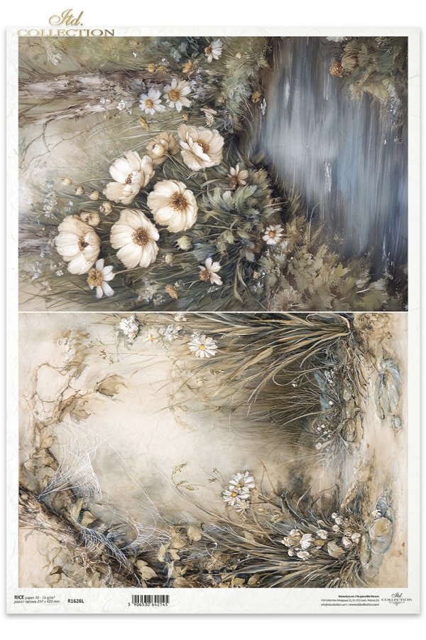 a7efd8c182381b83b730631d6b968bab.jpg