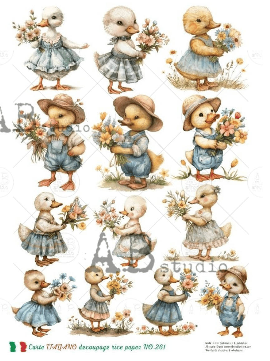 a4-farmer-ducks-multi-carte-italiano-261-6359155.png